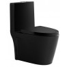 Kala, One piece toilet matt black finish