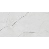 Rococo Grey, Ceramic 24*48