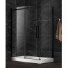 Lugus Noire 48", Porte de Douche Demo ventes finales