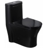 Wodan Black, One piece toilet