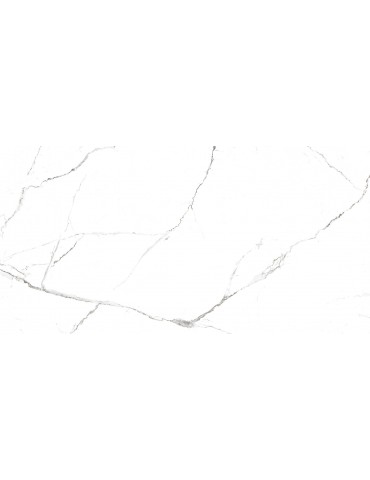 JS12601, Céramique 24*48"