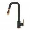 Sedna, matte black and gold kitchen faucet