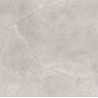 Greigia 24*24