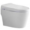 Robo, One-piece smart toilet