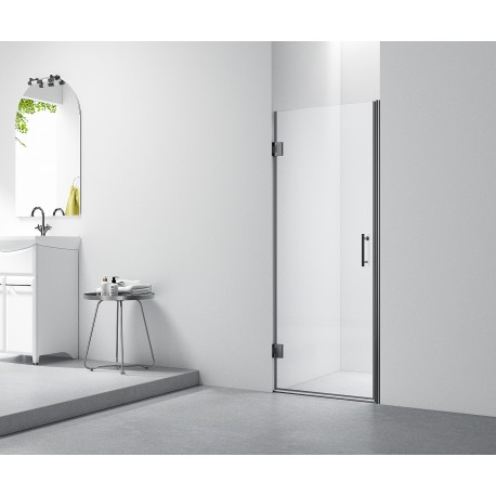 Beluga Black, Shower Door