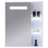 VISTA 24 in. LED medicine cabinet with storage and anti-fog
