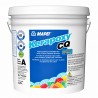 Coulis Kerapoxy CQ 3,78 L - 101 Pluie
