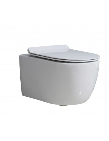 Ogi, toilette murale