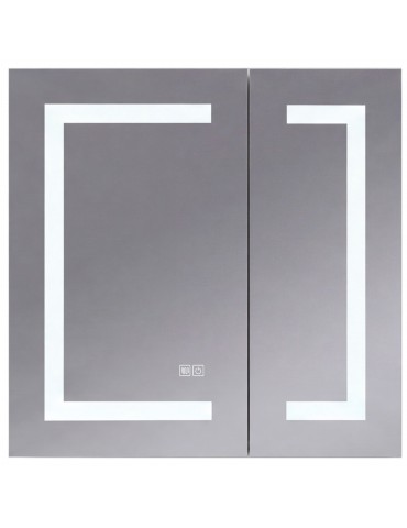 VISTA 30 in. LED medicine cabinet with storage and anti-fog